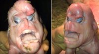 Свинья с человеческим лицом и гениталиями на лбу.