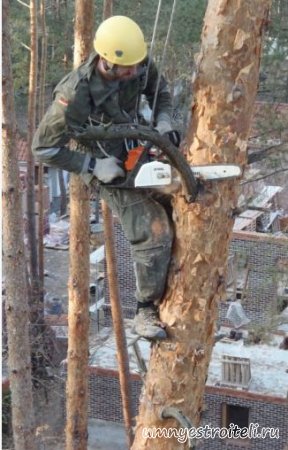 Кронирование деревье