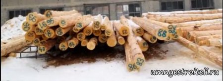 Как выбрать сруб. Как выбрать сруб для бани. Как правильно выбрать сруб.