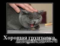 Хорошая грунтовка.