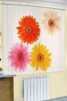 Акция! Тканевые роллеты-жалюзи установим бесплатно.