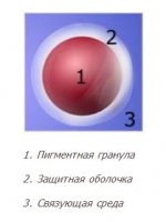 Мультиколорные краски.