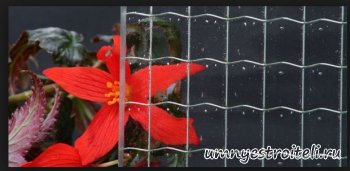 Армированное стекло.