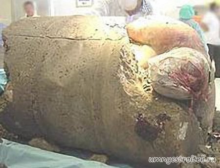 Добавки к бетону