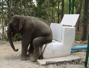 Крупная сантехника.