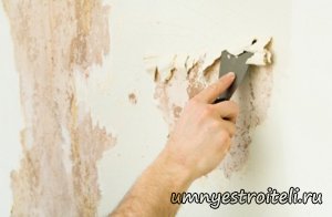 Как удалить старую краску с дерева, гипсокартона, стен гипсовых, бетона, ДСП.