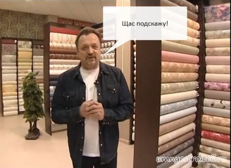 Какие обои выбрать для квартиры?