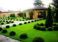 Обустройство двора частного дома