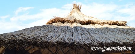 Крыша из камыша