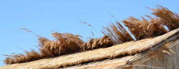Крыша из камыша