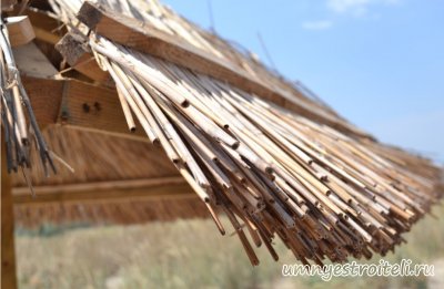 Крыша из камыша