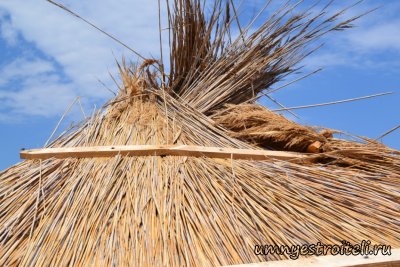 Крыша из камыша