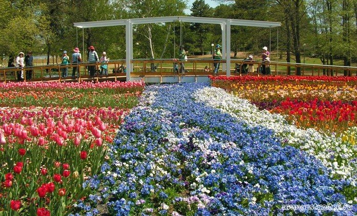 Рабатка, что это такое, для чего нужна, где применяется и виды рабатки