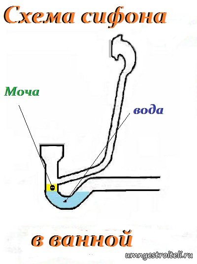 В туалете пахнет мочой. Пахнет мочой из сифона ванны. Как рисовать рычажного вонять.