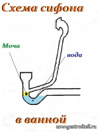 Воняет мочой в ванной Воняет мочой в ванной