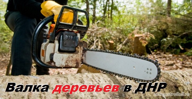 Валка деревьев в городе Енакеиво, Горловка, Донецк