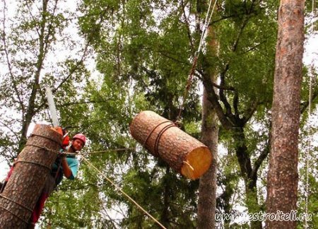 Валка деревьев по частям