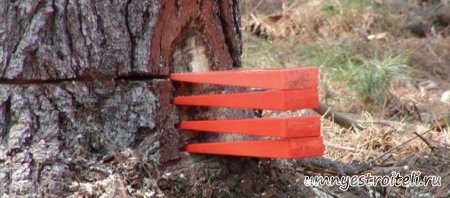 Валка деревьев с принудительным уклоном - клин.