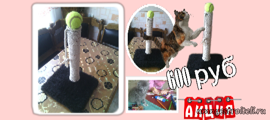 Купить когтеточку-когтедралку для кота и кошек
