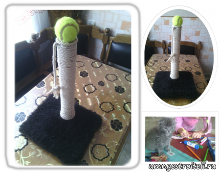 купить когтеточку-когтедралку дешево