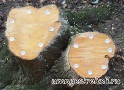 Корчёвка пней химическим способом