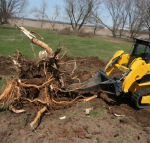 корчёвка пней трактором