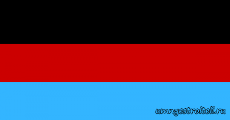 Первый флаг ДНР