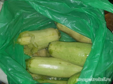 Магазин Экзотика Ватутино