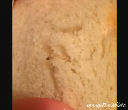 горчичный хлеб от Енакиевского хлебозавода