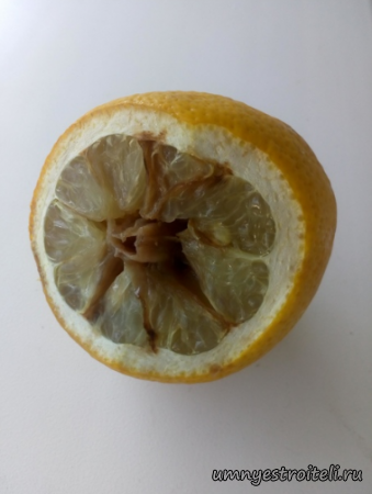 лимон в первом республиканском