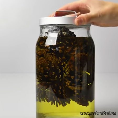 закручиваем крышку на банке что бы не воняло