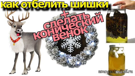 Как отбелить шишки и сделать новогоднее украшение.
