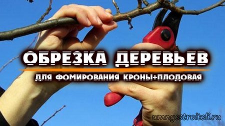 Обрезка деревьев в ДНР