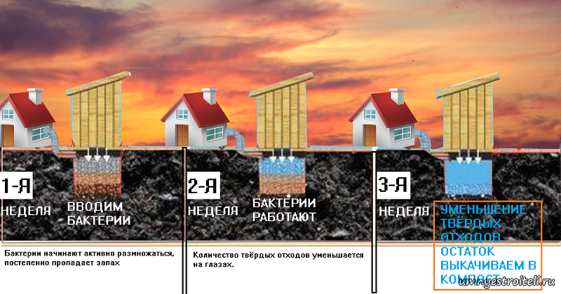 Как работают бактерии для септиков и ям