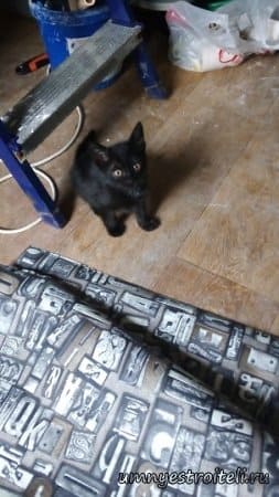 Поклейка обоев на кухне Макеевка