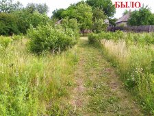 Покосить траву на огороде Донецк, Макеевка было