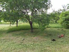 Покос травы в Донецке и Макеевке на огороде 1