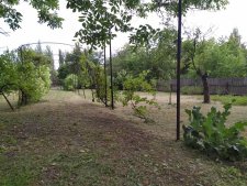 Покос травы в Донецке и Макеевке на огороде 2