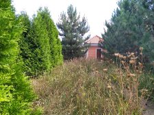 Покос травы вокруг дорожки было