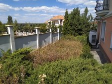 Покос травы меду домом и забором было