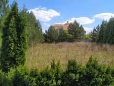 Покос травы на участке было