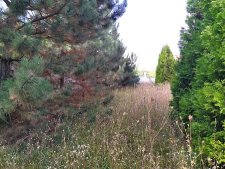 Покос травы на участке частного дома было