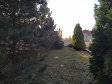 Покос травы на участке частного дома стало