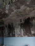 Демонтаж на кухне обоев 3 Пролетарский район улица раздольная Донецк