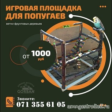 Игровая площадка для попугаев из натурального дерева ручной работы